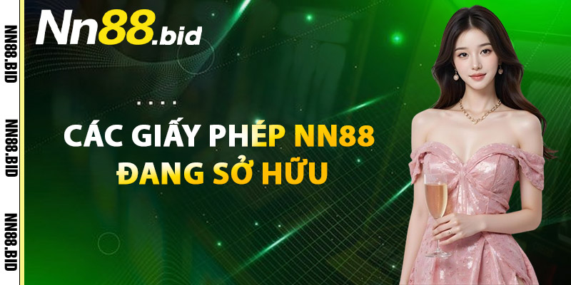 Các Giấy Phép NN88 Đang Sở Hữu